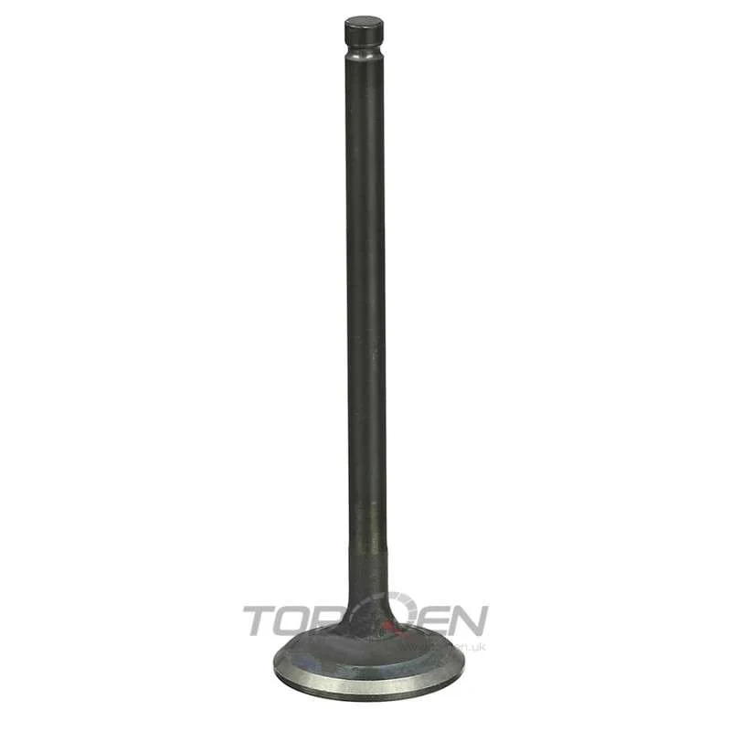 torqen1-1029105