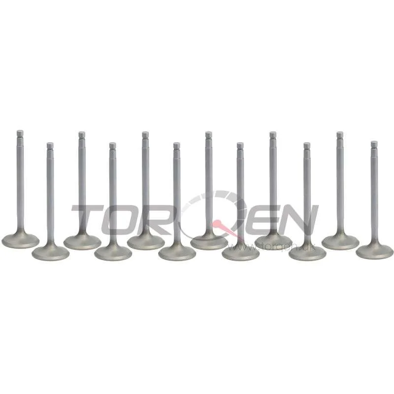 torqen1-904082