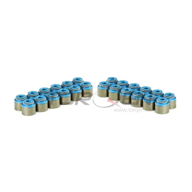 torqen1-913292